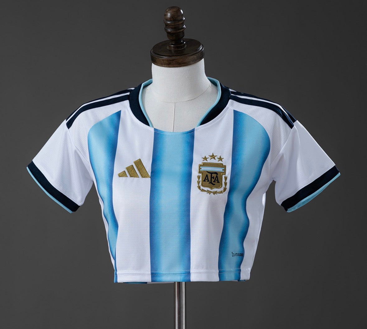 Argentina 2026 Home Kit - Crop Top