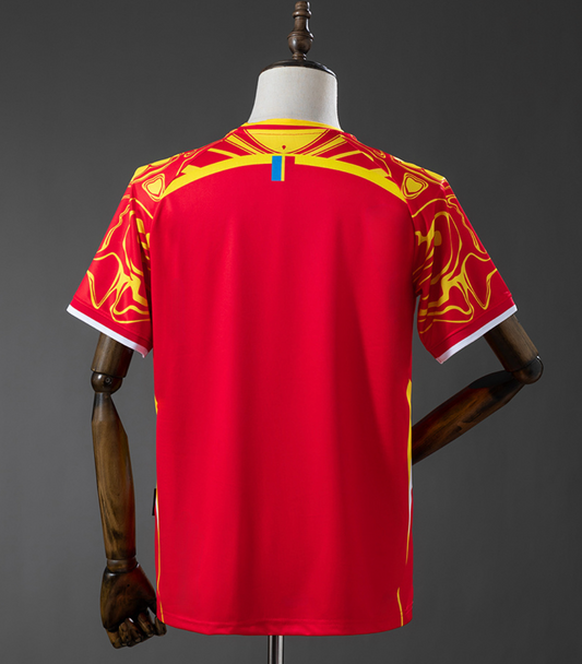 Congo 2026 3rd Kit
